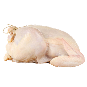 Game birds