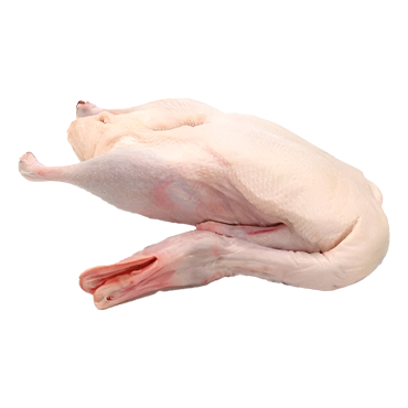 Game birds