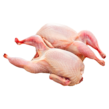 Game birds