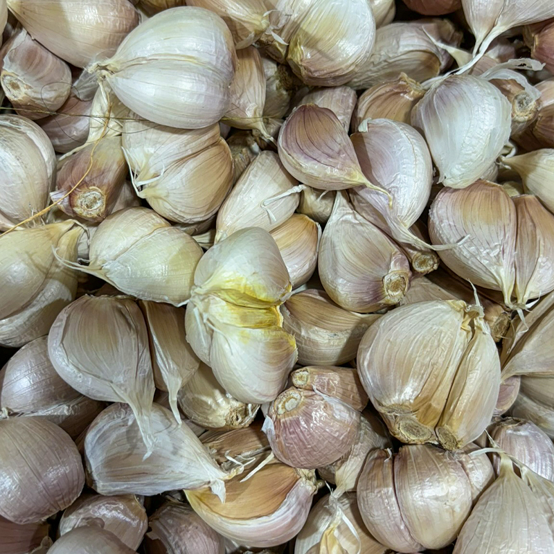 Game birds